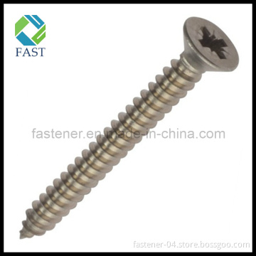 Stainless Steel Self Tapping Screws